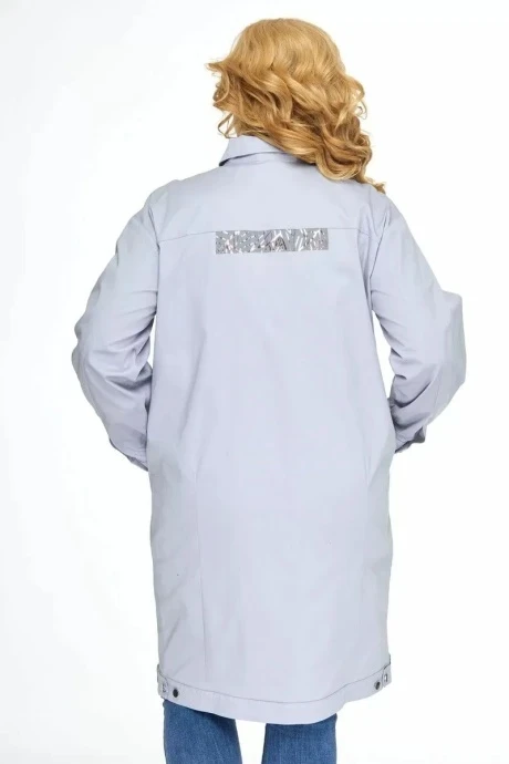 Anelli 1113