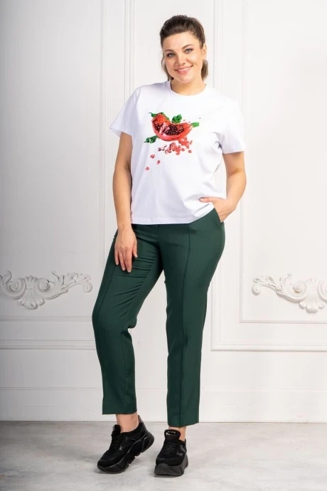 ANDINA 413