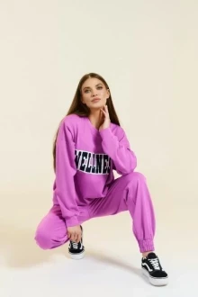 Иконка: Спортивный костюм DiLiaFashion 0760 -2 двойка Фиолет #3