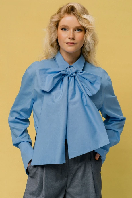 Блузка JRSy 2462 голубой #1