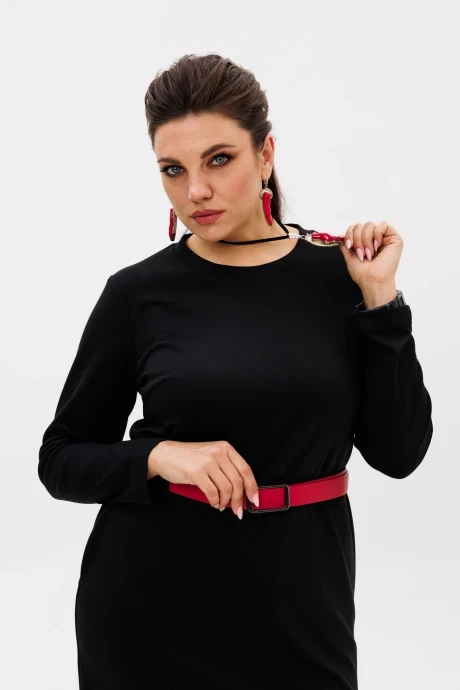 Anelli 1498