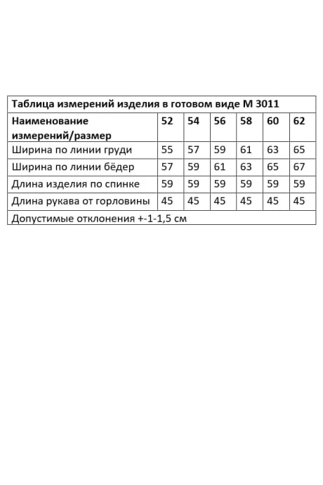 ANDINA CITY 3011